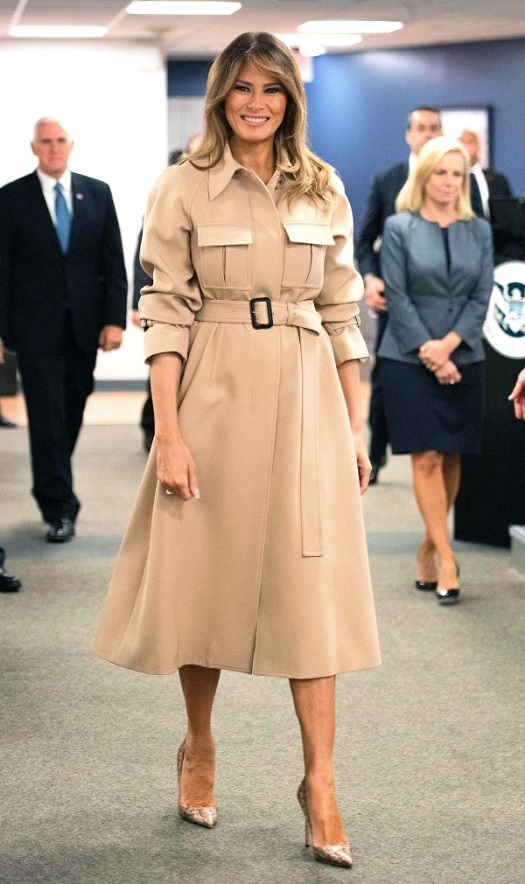 20210116 dress pr0n melania 01.jpg